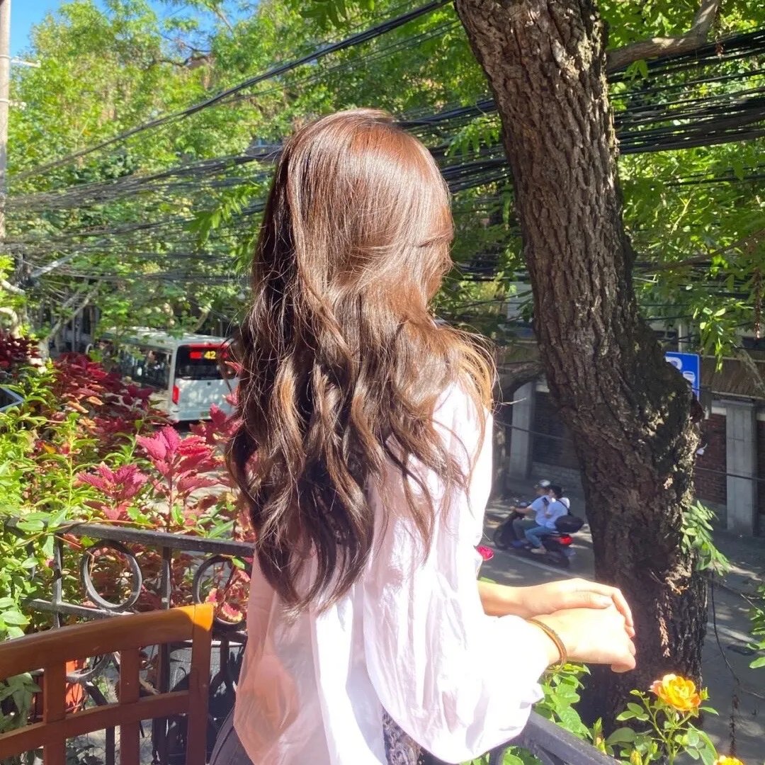 蚊子是怎么生活的